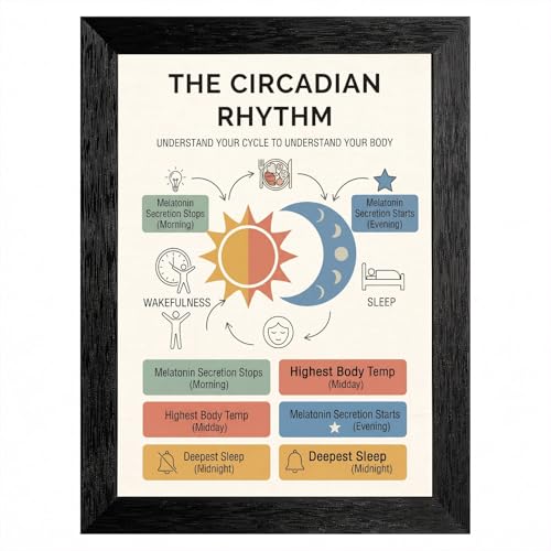 Framed Canvas Wall Art Vintage Educational Circadian Rhythm Sun and