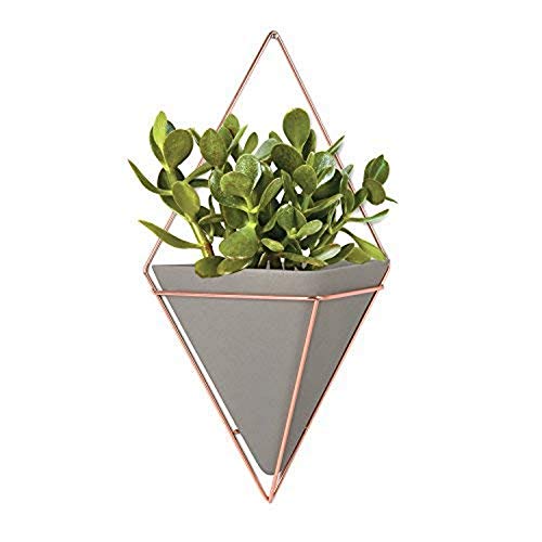 Umbra Altman Plants Succulents Flowering Collection 3.5 Inch - 3 Pack Trigg Hanging Planter - Large Copper #TOP17
