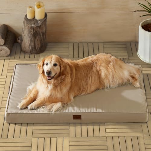 BFPETHOME Outdoor Dog Beds for Large Dogs, Waterproof Dog Bed for Medium, Large, Extra Large Dogs, Orthopedic Pet Bed with Removable Washable Cover, Egg Crate Foam Pet Bed Mat. (42 x 30in, B