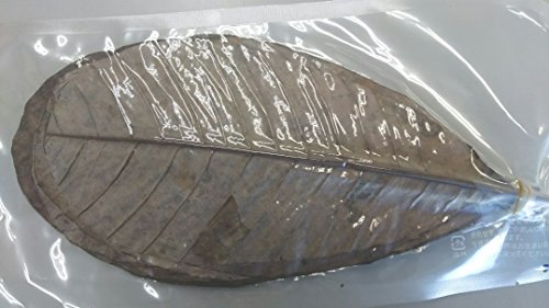 Y@@pt@i@l@j@20@op@ق