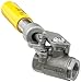 Dixon SSBV100SR Stainless Steel 316 Ball Valve, 1" NPT Female