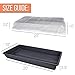 Heavy Duty 1020 Trays No Holes and Humidity Dome - 3 Pack | Seed Starter Tray with Dome Seed Starting Kit | Seed Tray with Clone Dome, Seedling Starter Tray, Seedling Trays -by Mr Sprout