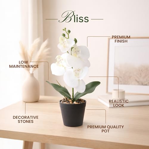 Image of Habere India-All the Cultures Fabricating India White Orchid Artificial Plants with Pot for Home Decor | Small Fake Flower Plants for Living Room & Indoor Decoration (Design02: L8.5 x W8.5 x H32 cm)
