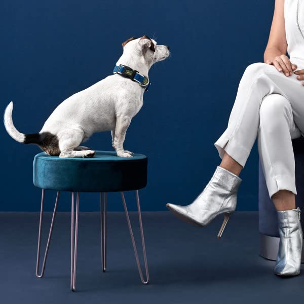 HUNTER Hundehalsung HILO VARIO BASIC, Farbe: anthrazit, innovatives 3D-Mesh-Material, atmungsaktiv, leichter Kühleffekt bei Wärme, reflektierend, stufenlos verstellbar, angenehm leicht, Größe: S-M