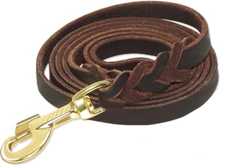 Premier 6 Foot Dog Leather Training Leash, Waist Braided Lease Leads, Made from Leather, Great Option for Large Medium Hunting Dogs or General Obedience in the Backyard