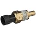 Delphi TS10545 Coolant Temperature Sensor