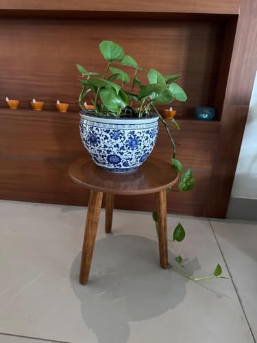 Image of WOOYNEX WOODEN Multifunctional Plant Stand - Modern Home Decor, Wood Planter Holder for Flower Pots, For Living Room Bedroom Balcony Indoor and Outdoor - Kids Stool (Natural -A)