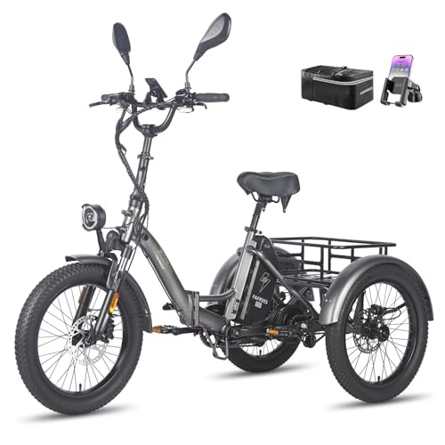Fafrees E Bike Dreirad F20 Mate, Ebike Klapprad 20 * 3.0 Zoll, Lastenfahrrad für Erwachsene 48V 21Ah Akku, e Bike 3 Rad 65N.m, Dreirad für senioren (Kleiner hinterer Korb, Grau)