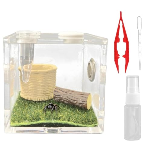 w偗peE w偎e ANZT[ ঒ރeE ANe ^hJEEJ^cE^`p X^C3