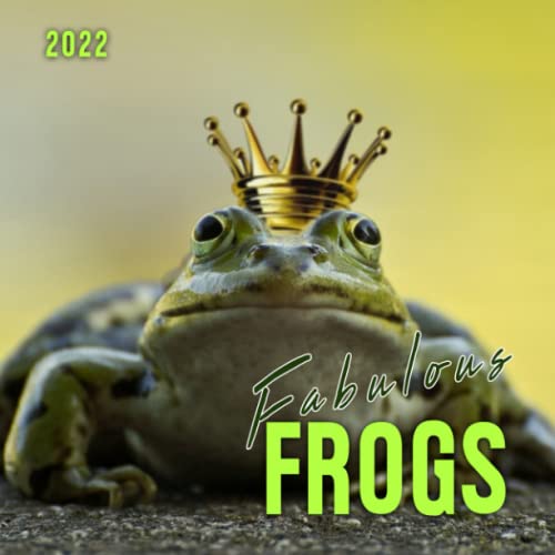 Fabulous Frogs 2022 Calendar: Funny Humor Novelty Animals Gift Idea / White Elephant / Secret Santa / Stocking Stuffer / Birthday Present 2022 Squared Monthly / Month Planner image 2