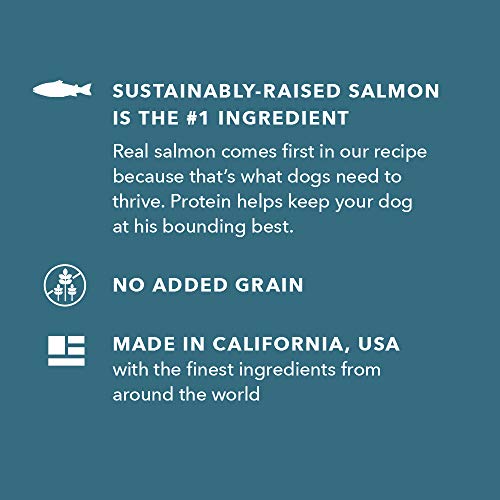 Amazon Brand - Wag Dry Dog Food Salmon & Sweet Potato, Grain Free 4 lb Bag - Image 5