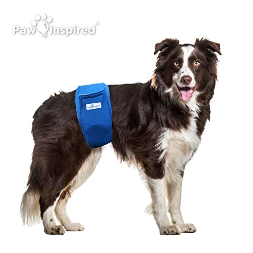 Paw Inspired 2-Count Reusable Male Dog Wraps, Washable Diapers for Male Dogs, Belly Bands for Incontinence, Surgery, Male Marking (Large Size, Assorted Colors with Black Lining, Pack of 2) by Paw Inspired - Image 3
