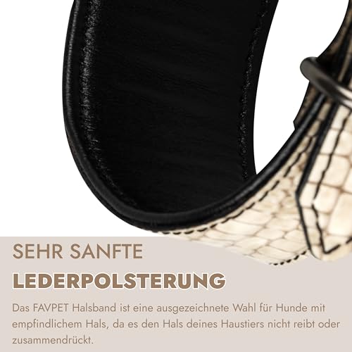 FAVPET Luxus Echtleder Windhund Halsband Breit mit QR Code Anhänger, Weiches Lederhalsband Hund Breit Whippet Italienisches Windspiel Saluki Lurcher Spanischer Galgo Greyhound Podenco (Beige, M)