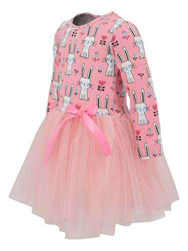 Image of Girls Long Sleeve Tulle Tutu Dresses for Kid and Toddler