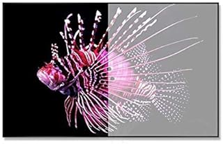 16:9HDTV Newest 3rd Generation ALR Ultra Thin Fixed Frame Screen for UST Projector (Size : 150 inch) ()