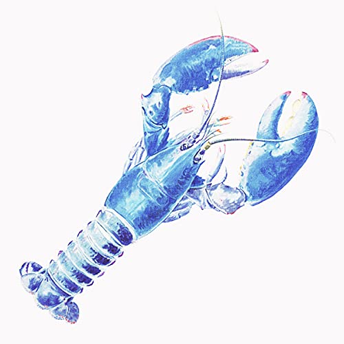 Image of Orenco Originals Nautical Blue Lobster Counted Cross Stitch Pattern
