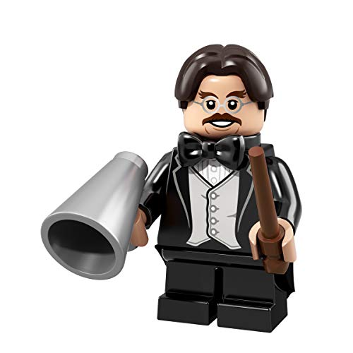 LEGO Harry Potter Series - Professor Flitwick - 71022