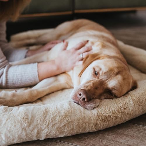 HUNTER Hundematte VERMONT COZY, komfortabel & gepolstert, erhöhter Rand, besonders weich & kuschelig, rutschhemmend, universell einsetzbar, waschbar, Farbe: beige, Größe: S