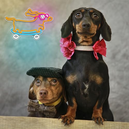Image of Dachshund Neon Sign Dimmable Led Skateboard Dog Neon Sign With Glasses Led Light Sign for Pet Shop Animal Bedroom Decor Art Wall Decor Gift for Pet Dog Lover Kids Room