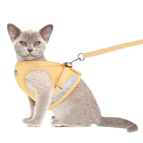 Cat Harnesses And Dog Harness With Leashes Set, Escape Proof Cat Harness, Adjustable Reflective Soft Mesh Vest Fit Puppy Kitten Rabbit's Outdoor Harness (Cream, L, Chest: 15" - 17") #TOP1