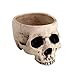 Produktbild Figuren-Shop.de Totenkopf Schale