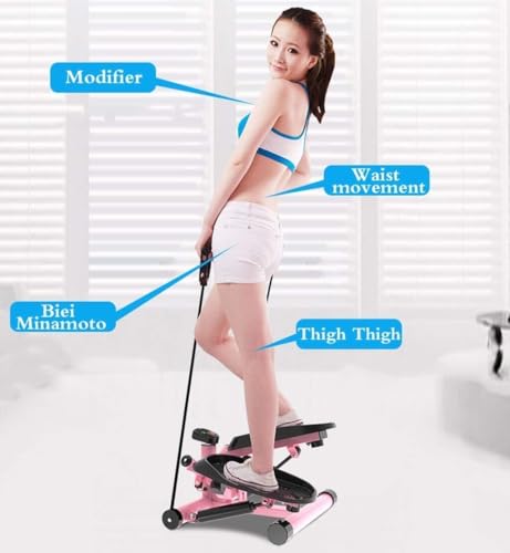 Image of Sunny Health and Fitness Adjustable Mini Stair Stepper with Twisting Action Pedals & LED Display - Low Noise Home Exercise Machine