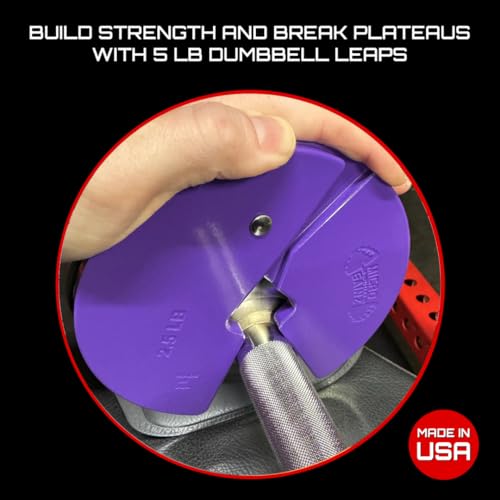 Image of Micro Gainz 2.5LB Dumbbell Fractional Weight Plates, 2-Piece