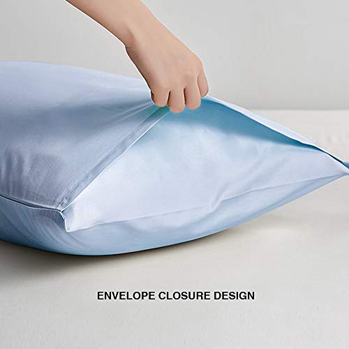 FLXXIE Microfiber Pillow Cases Queen Size Set of 2, Soft Pillowcases with Envelope Closure, Wrinkle Resistant Pillow Covers, 20x30, Sky Blue