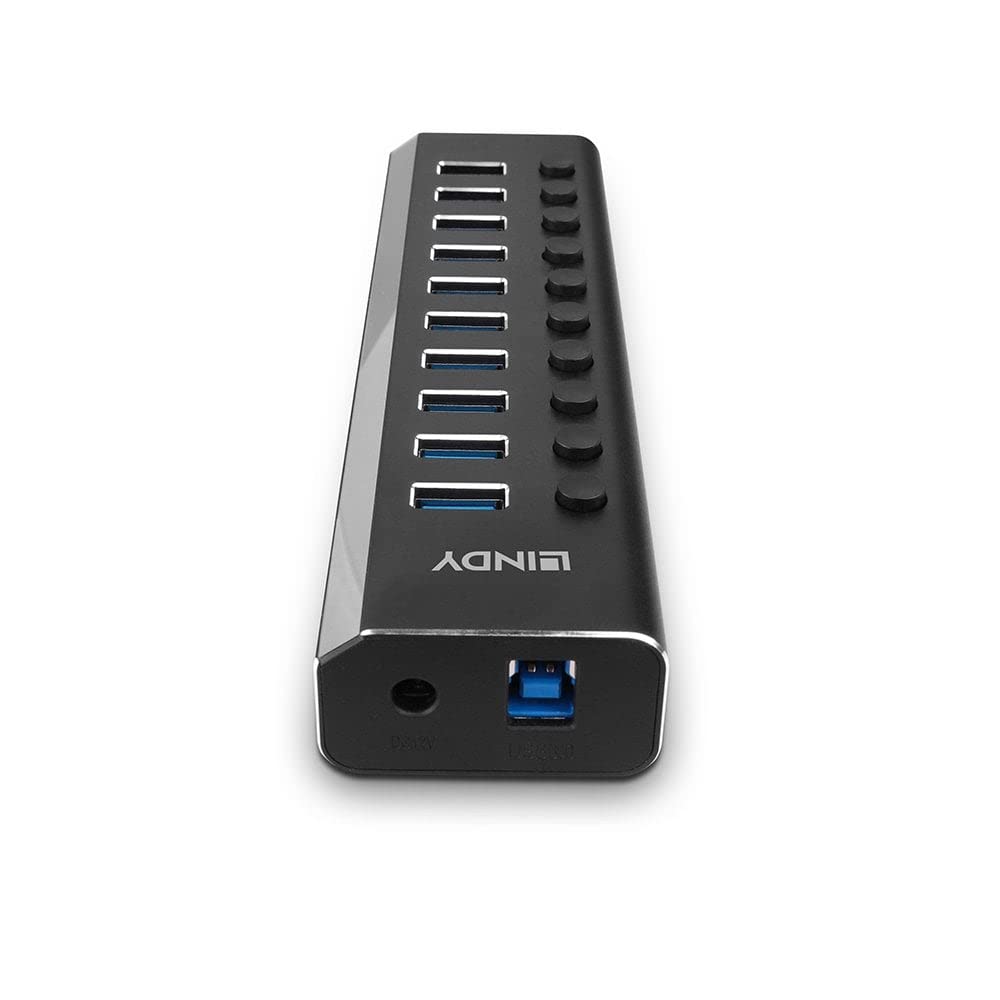 Lindy 43370 Hub USB 3.0 de 10 Puertos con interruptores de Encendido/Apagado