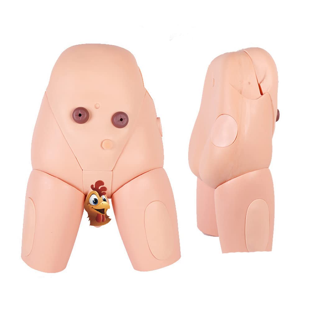 Modèle de cathétérisme Interchangeable Masculin et féminin 55 x 38 x 20 cm pour cathétérisme urinaire de poupée pour Mannequin de simulateur Interchangeable d'allaitement