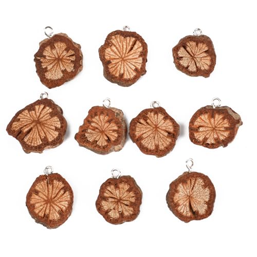 LUEYAO Ebh`bvX Bt DIY Xgoh uXbg  10