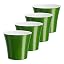Green-gold/White - Set of 4