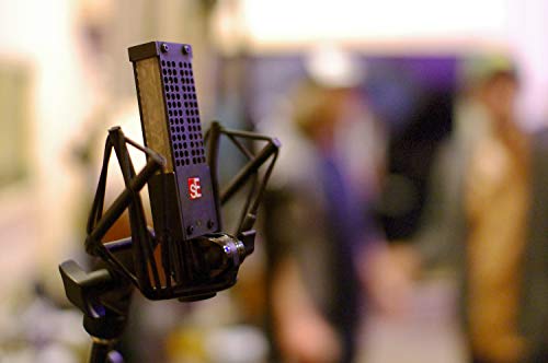 Se Electronics SEE-VR1 Voodoo Vr1 Passive Ribbon Microphone thumb #5