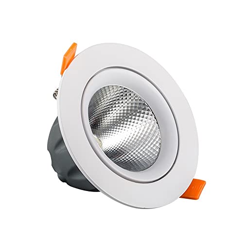 Foco LED, 12 W, LED Redondo, Empotrado, Panel Plano, lámpara de Acento, luz Blanca cálida, 3000 K, Accesorio de iluminación de Techo súper Brillante, Pasillo, Sala de Estar, Cocina