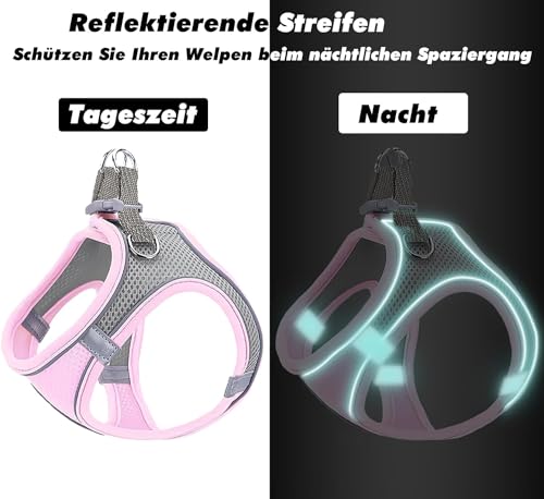 Hundegeschirr Kleine Hunde,Welpengeschirr Katzengeschirr Hunde Geschirr Leuchtend mit Leine,Curli Hundegeschirr Geschirr Hund Welpen Zubehör(Rosa,M)