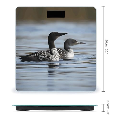 Loon Birds báscula digital peso corporal, hasta 180kg miniatura 2