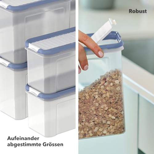 Rotho DOMINO 24-Set Vorratsdosen, Streu- & Schüttdose mit dicht schließendem Deckel, spülmaschinengeeignet, transparent/blau