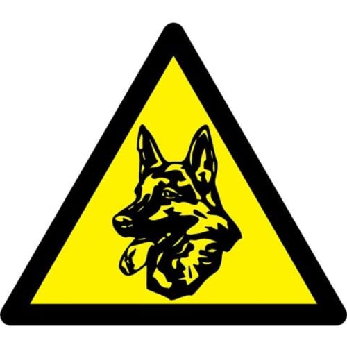 Indexa Artikelset EW01 + MA80KM Elektronischer Wachhund mit Fernbedienung und Funk-Öffnungsmelder