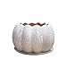 Produktbild Kyman Grün Rettich Blumentopf Keramik Material Juicy und Fleshy Startseite Pflanzbehälter Kreative Startseite Indoor Orchid Blumentopf Keramik Belt Tray pflanzer 5-Stil Optional (Farbe: Style 1)