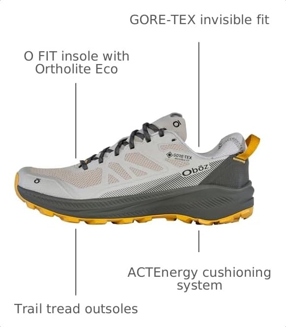 Image of Oboz Men's Katabatic LT Low GTX Hiking Shoe