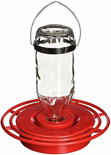 best bird feeders for evening grosbeaks that will attract more visitors 6 Best-1 Birds Choice Hummingbird Feeder, 16oz