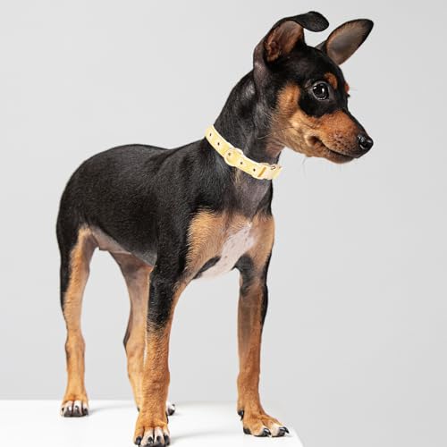 YUDOTE Hundehalsband aus weichem Cord mit Jacquard-Band, Hochwertig Gemustert Blumenmuster für Kleine Hunde den täglichen Gebrauch, Gelb
