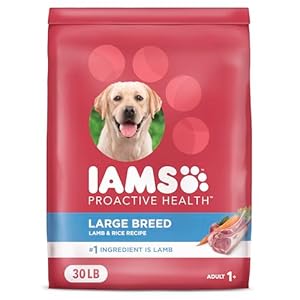 IAMS Proactive Health Large Breed Adult Dry Dog Food Lamb & Rice Recipe, 30 lb. Bag