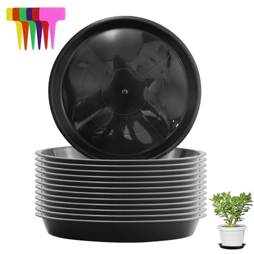 Lot de 12 soucoupes rondes en plastique de 24 cm pour pots de fleurs, soucoupes, soucoupes pour pots de fleurs, plantes de jardin