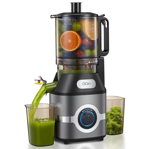 Cold Press Juicer Slow Masticating Machine with 5.5 Inch Chute(Gray)