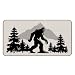 Xiyurlk Funny Camping Camper Door Mat 17 x 30,Rv Camper Must for Outside,Outdoor Camp Door Rug,Bigfoot Sasquatch Welcome mat Gifts for Women,B071-DMBK-TSQF