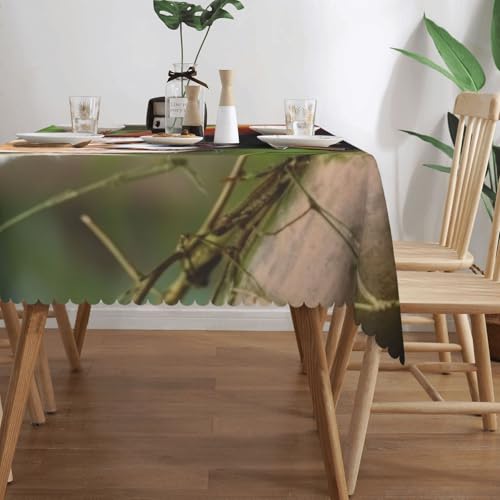 Nappe rectangulaire petit panda rouge 137x183 cm imperméable et lavable pour table de repas - 4