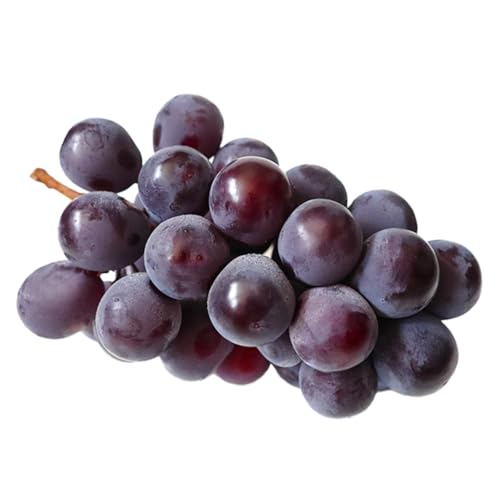 [ 訳あり ] ピオーネ 3kg [2026年9月発送開始](茨城県共通品:大子町) ブドウ ぶどう 葡萄 ピオーネ 果物 フルーツ 果実 ワケあり ご自宅用 ご家庭用 自分用