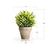 Velener Artificial Grass Potted Plant - Emerald Green Home Decor, Pumpkin Topiary Outdoor & Indoor Fall Plants Home Decor Accents, Coastal Kitchen, Countertops, Classroom, Farmhouse Christmas Decor