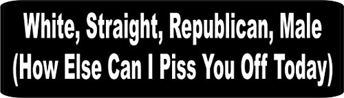 3 - White Straight Republican Male (How Else can I Piss You Off) Helmet/Hard Hat/Motorcycle